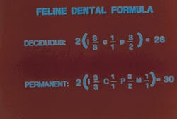 Th Rdh123001 43 Th Rdh123001 43