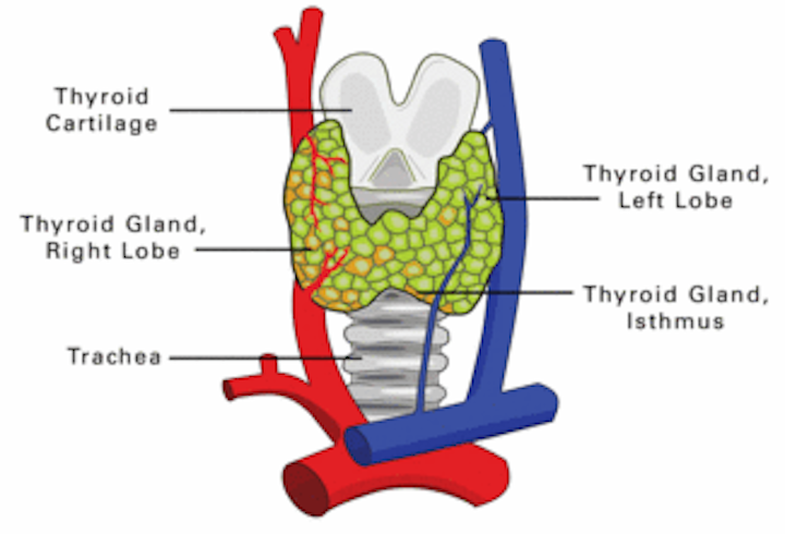 Th Thyro 1009 01