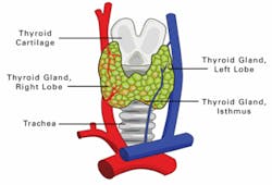 Th Thyro 1009 01 Th Thyro 1009 01