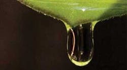 Th Why Dry 01 Th Why Dry 01