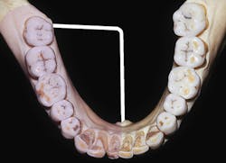 1602rdhfflb P02 1602rdhfflb P02