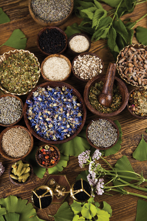 Ancient Remedies Some Healing Secrets For Dental Pain Have Withstood The Test Of Time Registered Dental Hygienist Rdh Magazine Ancient Remedies Some Healing Secrets For Dental Pain Have Withstood The Test Of Time Registered Dental Hygienist Rdh Magazine