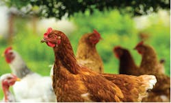 1604rdh 18 1604rdh 18