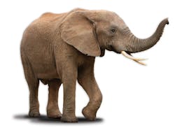 1606rdhfcdi P01 1606rdhfcdi P01