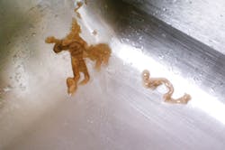 Sink Biofilm 2 Sink Biofilm 2