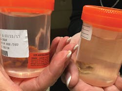 1706rdhfhea P03 1706rdhfhea P03