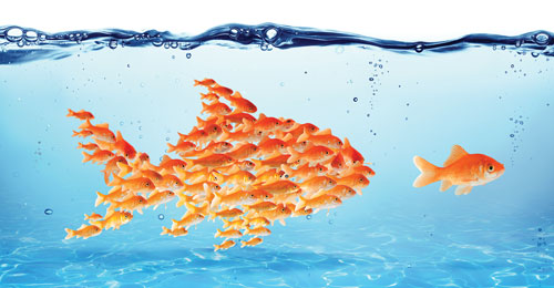 Content Dam Rdh Print Articles Volume37 Issue6 1704rdhfttd P01