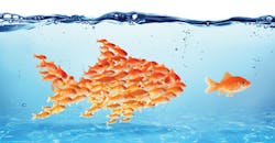 Content Dam Rdh Print Articles Volume37 Issue6 1704rdhfttd P01 Content Dam Rdh Print Articles Volume37 Issue6 1704rdhfttd P01