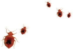 Content Dam Rdh Print Articles Volume37 Issue7 1707rdhckel P1 Content Dam Rdh Print Articles Volume37 Issue7 1707rdhckel P1