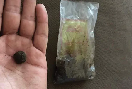tumbak tobacco control, a 'major component' of environmental protection efforts UN health official TUMBAKI HOOKAH TOBACCO | order