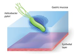 Content Dam Rdh Print Articles Volume37 Issue11 1711rdhcwhi P01 Content Dam Rdh Print Articles Volume37 Issue11 1711rdhcwhi P01