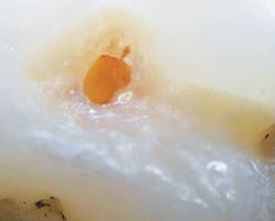 1801rdhfgol P03b 1801rdhfgol P03b