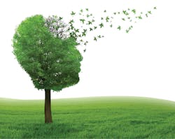 1805rdhfbki P01 1805rdhfbki P01