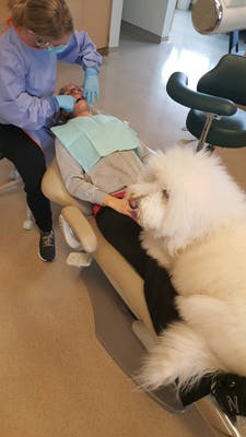 1808rdhfaat P01 1808rdhfaat P01