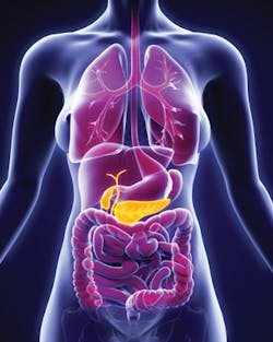 Dreamstime Xl 55282221 Dreamstime Xl 55282221