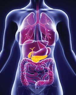 Dreamstime Xl 55282221 Dreamstime Xl 55282221