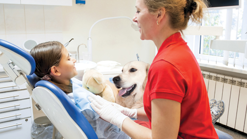 Dreamstime Xxl 115122203