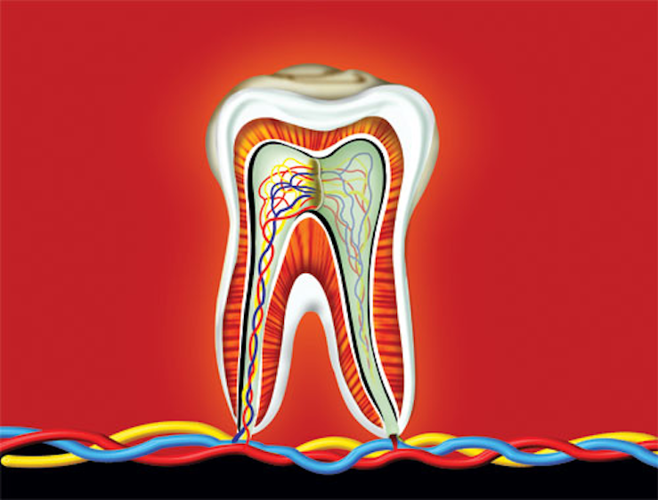 Ask the Experts Desensitizers Registered Dental Hygienists