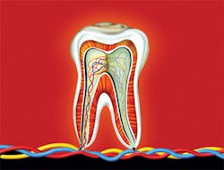 1810rdhask P01 1810rdhask P01