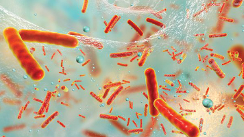 Content Dam Diq Online Articles 2019 03 1903rdhkel Tn