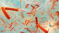 Content Dam Diq Online Articles 2019 03 1903rdhkel Tn Content Dam Diq Online Articles 2019 03 1903rdhkel Tn