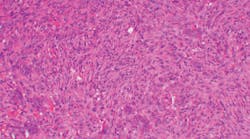 Content Dam Diq Online Articles 2019 03 1903rdhbur Tn Content Dam Diq Online Articles 2019 03 1903rdhbur Tn