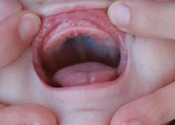 1902rdhnie P01 1902rdhnie P01