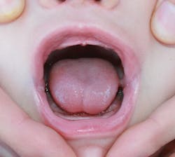 1902rdhnie P02 1902rdhnie P02