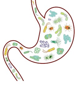 Content Dam Rdh En Articles Print Volume 38 Issue 1 Content Dam Microbiome The Sinister Enviroment Leftcolumn Article Thumbnailimage File Content Dam Rdh En Articles Print Volume 38 Issue 1 Content Dam Microbiome The Sinister Enviroment Leftcolumn Article Thumbnailimage File