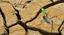 Content Dam Rdh Print Articles Volume 39 Issue 2 1902rdhdig Thumb Content Dam Rdh Print Articles Volume 39 Issue 2 1902rdhdig Thumb