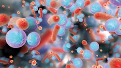 1904rdhkel P05 1904rdhkel P05