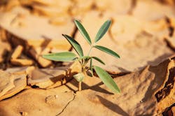 1907 Rd Hgui P01 Copy 5d39dde0c1465 1907 Rd Hgui P01 Copy 5d39dde0c1465