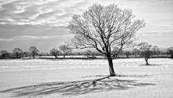 1911 Rd Hmet 16x9 5df10840cd279 1911 Rd Hmet 16x9 5df10840cd279