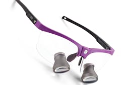 Figure 3: ErgoEdge frame Figure 3: ErgoEdge frame