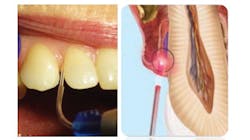 1912 Rd Hdav 16x9 5df1062d26732 1912 Rd Hdav 16x9 5df1062d26732