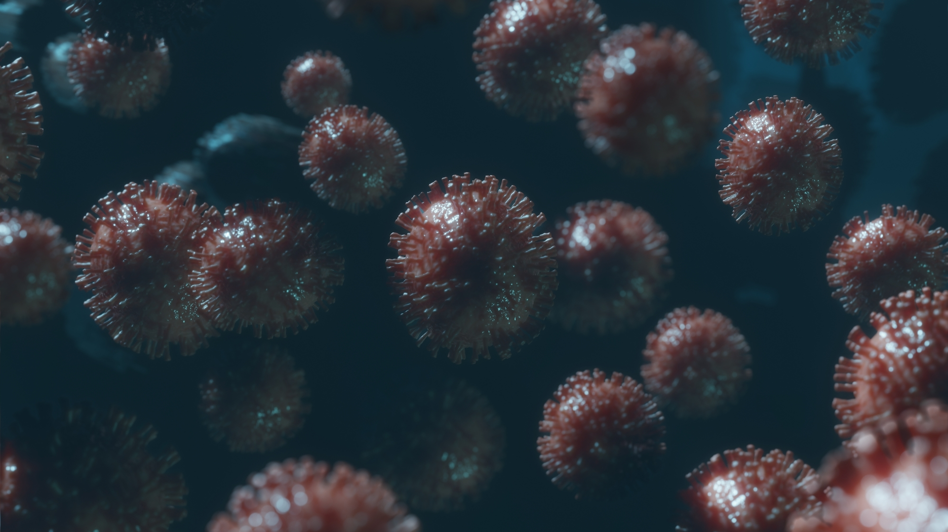 Dreamstime M 175295442 5e6face8565d2