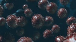 Dreamstime M 175295442 5e6face8565d2 Dreamstime M 175295442 5e6face8565d2