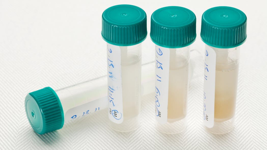 Dreamstime L 21153332