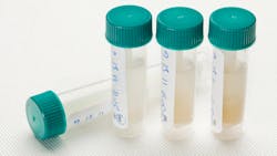 Dreamstime L 21153332 5e84f9bfa7424 Dreamstime L 21153332 5e84f9bfa7424