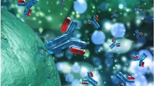 Scientific rendering of human antibodies