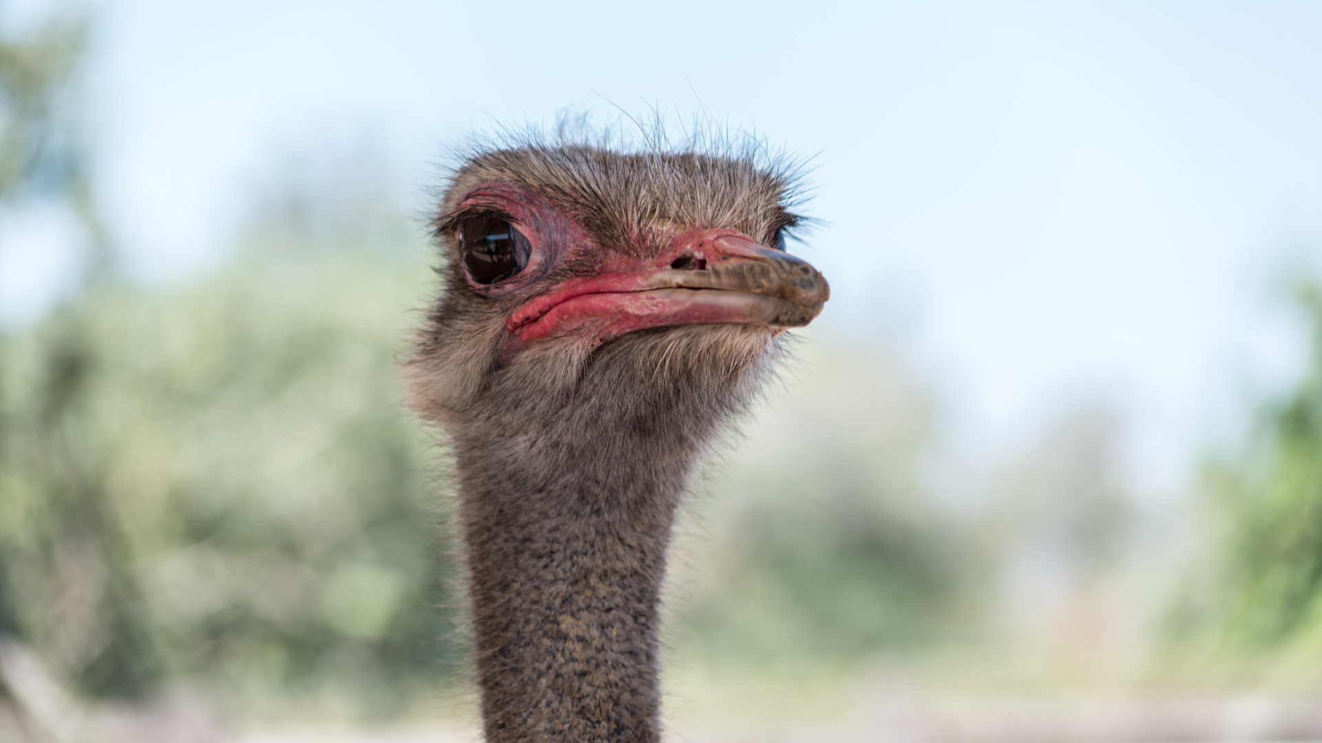 Dreamstime Xxl 147390161 5ee114480b964