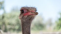 Dreamstime Xxl 147390161 5ee114480b964 Dreamstime Xxl 147390161 5ee114480b964