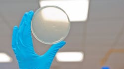 2007 Rd Hmet P01 5f0e1da1e9e91 2007 Rd Hmet P01 5f0e1da1e9e91