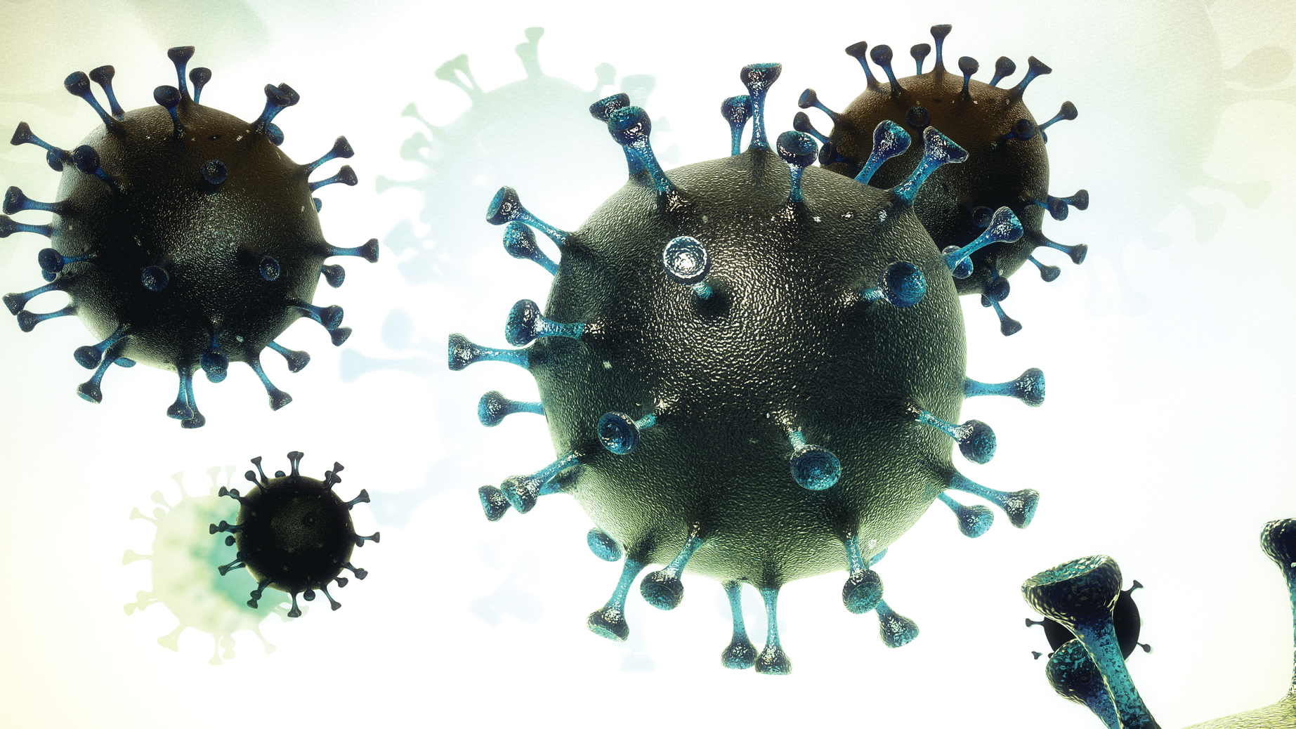 2008 Rd Hcov P01 Alt 5f2c36676a5d1