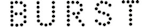 8 18 20 Burs Logo Sp6
