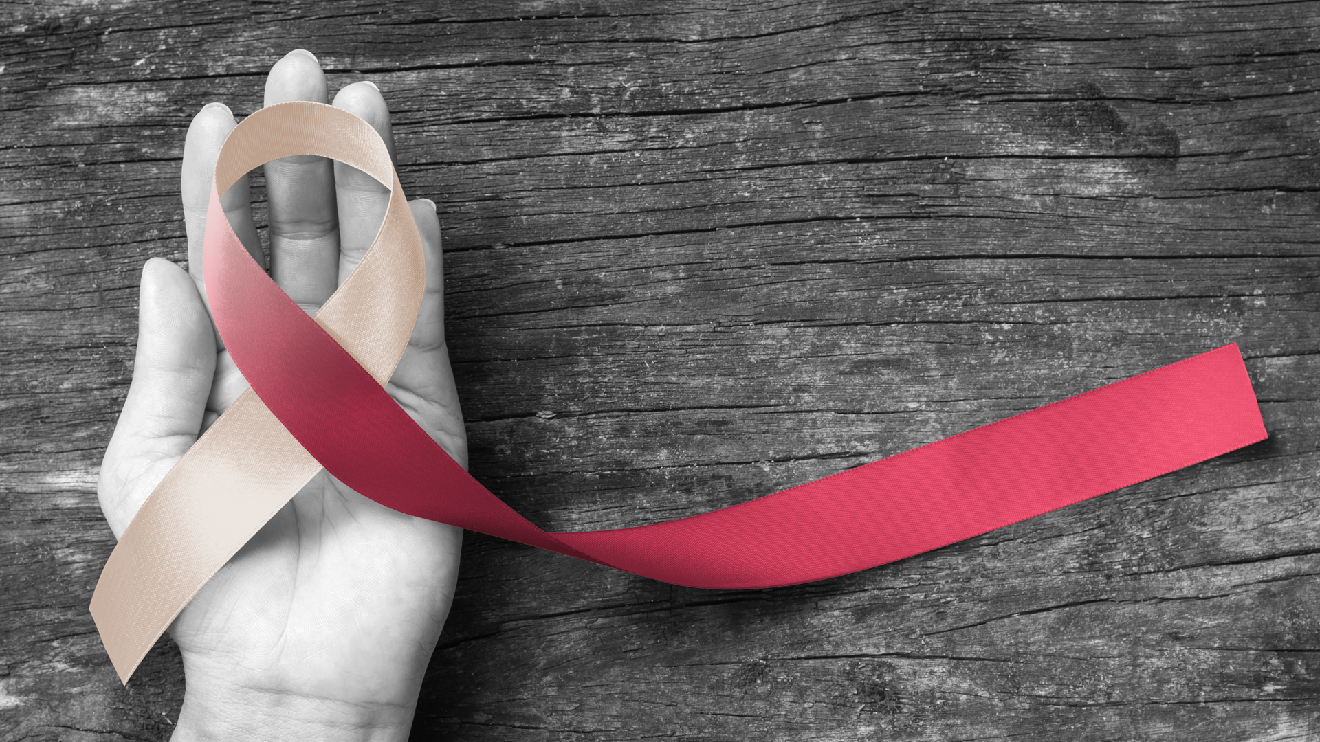 2011 Rd Hwat P02 5fa9c1b552e13