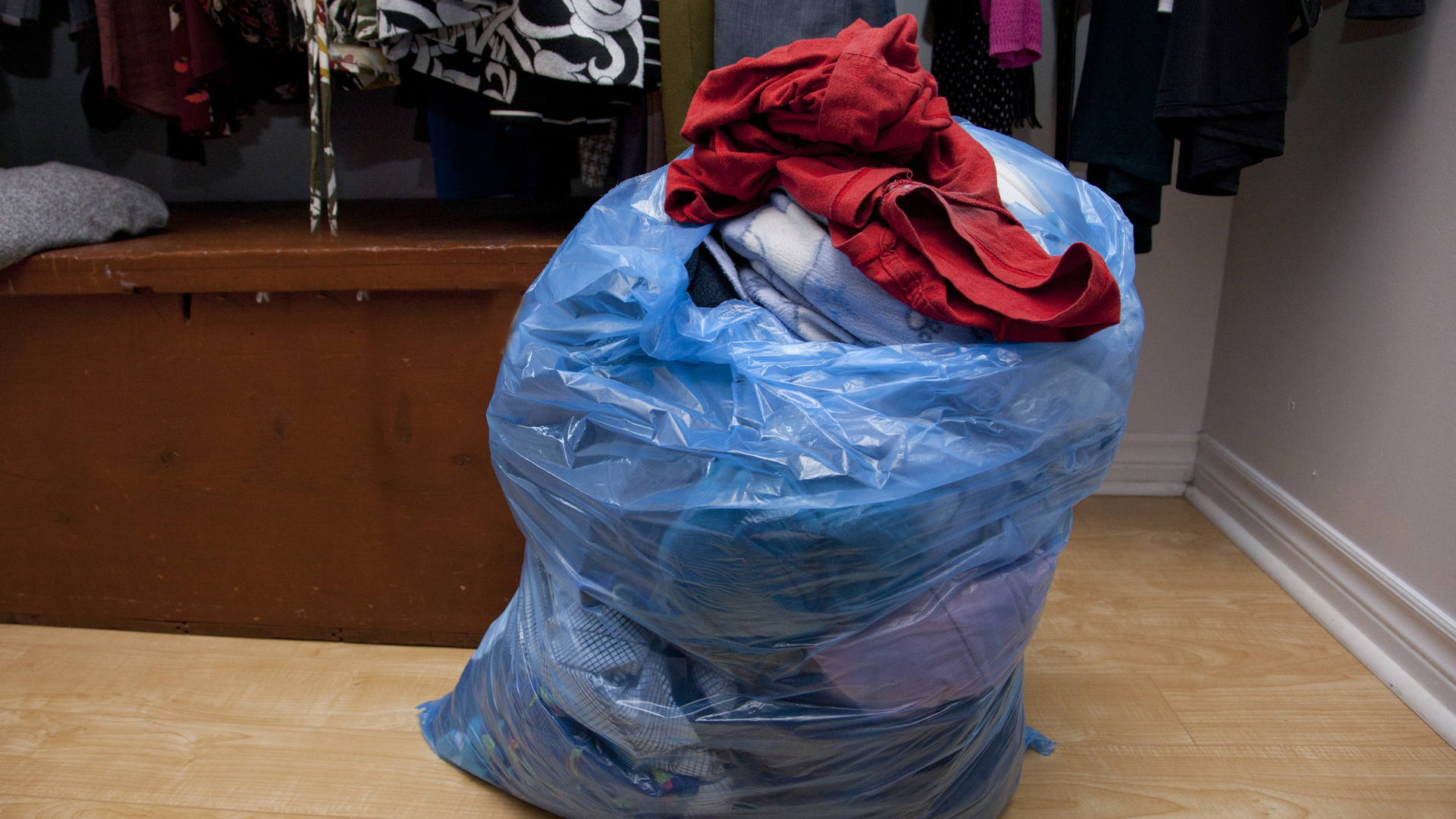 Dreamstime M 131697841 5fb6a7b0121fe