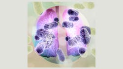 2011 Rd Hhei 5fa5b64b0d353 2011 Rd Hhei 5fa5b64b0d353