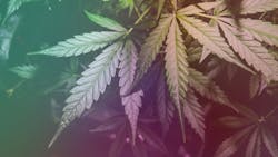 2011 Rd Hshe P01 5fce64b423f6b 2011 Rd Hshe P01 5fce64b423f6b