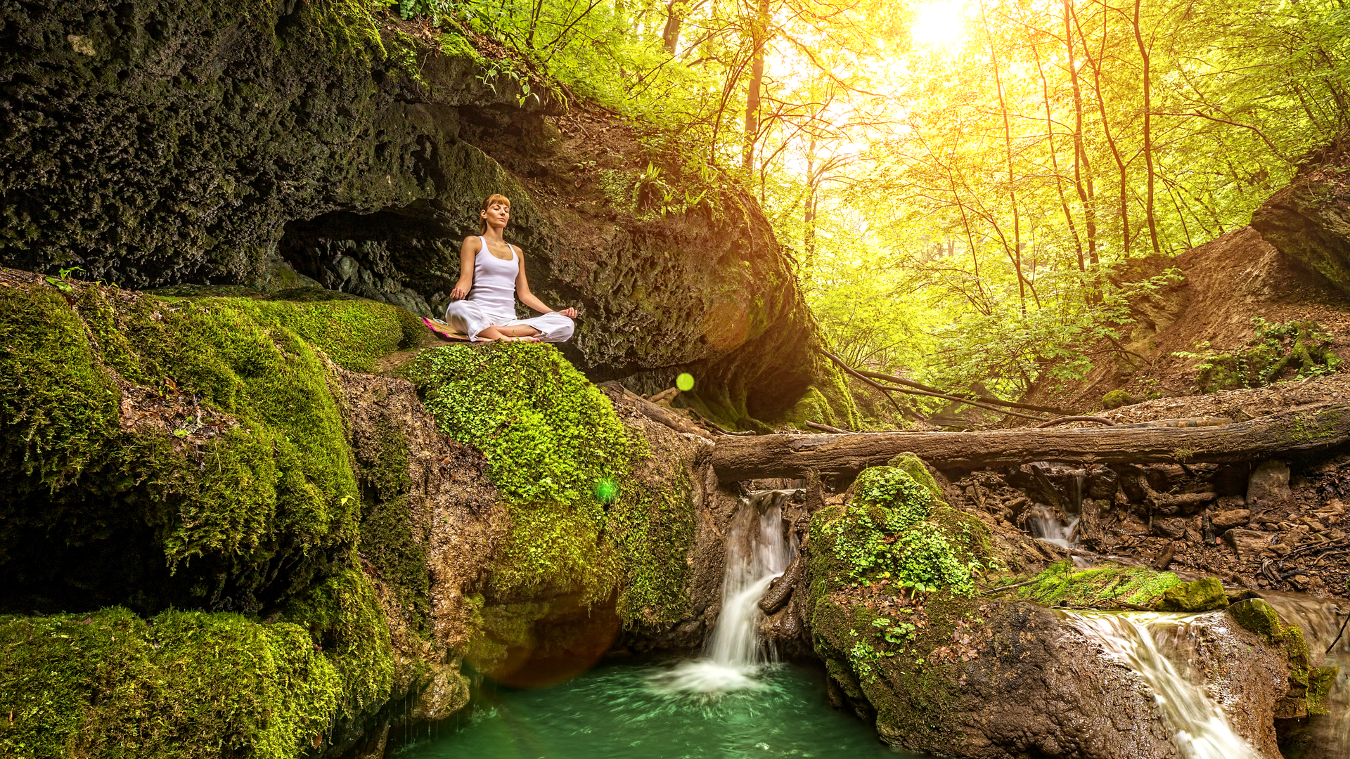 Dreamstime Xxl 40521602 5ff8eb88703ec